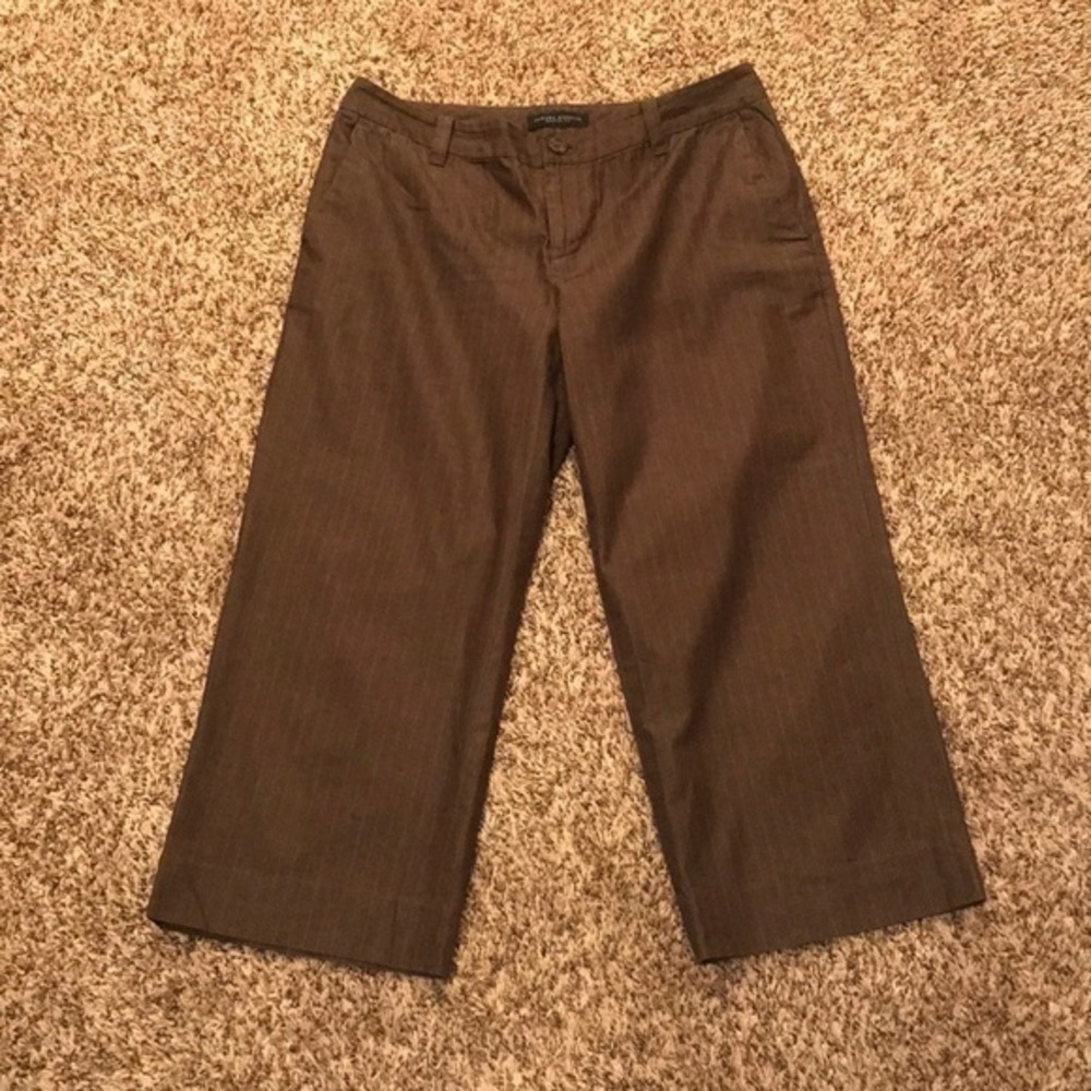 Banana Republic SZ6 Martin Fit Crop Pant